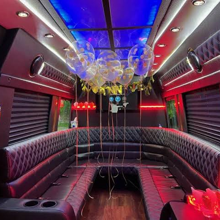 Travel Comfortably with Our Mercedes Sprinter Party Bus
